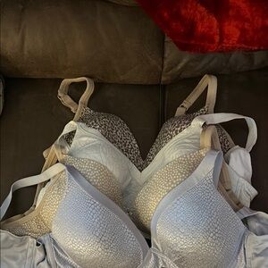 Warner's Gray and Cream Bras Set